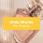 Urdu Words for Scents- Featured Ling App