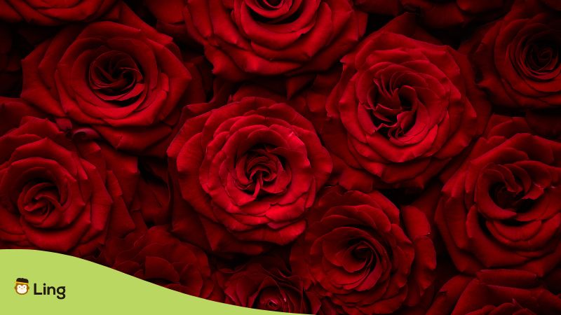 Urdu words for Scents (Rose)- Ling App