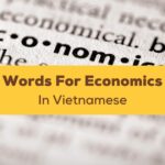 Vietnamese Words For Economics Ling App