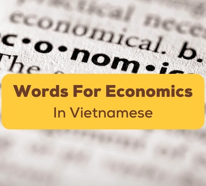 Vietnamese Words For Economics Ling App