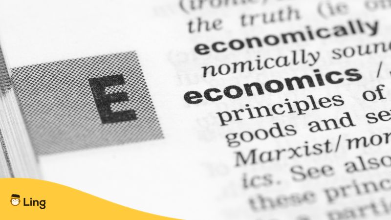 Vietnamese Words For Economics Ling App dictionary