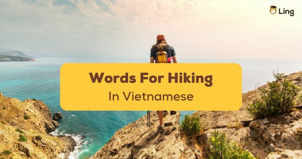 Vietnamese Words For Hiking Ling App