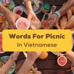 Vietnamese words for picnic Ling App