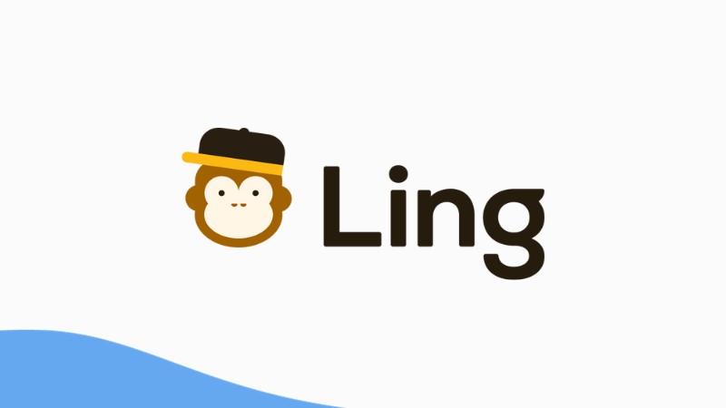 A photo of Ling's monkey logo, one of the best apps to learn Punjabi today.