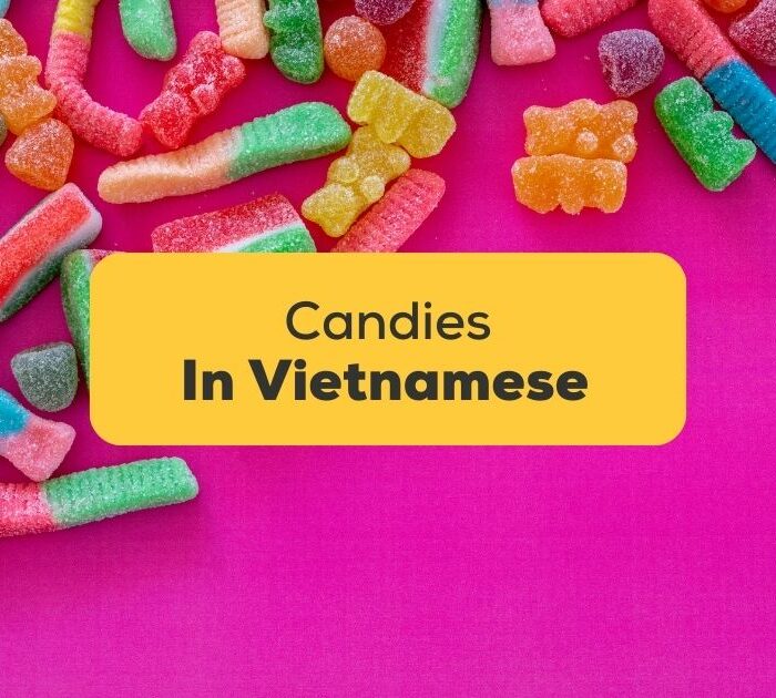 easy Vietnamese words for candies
