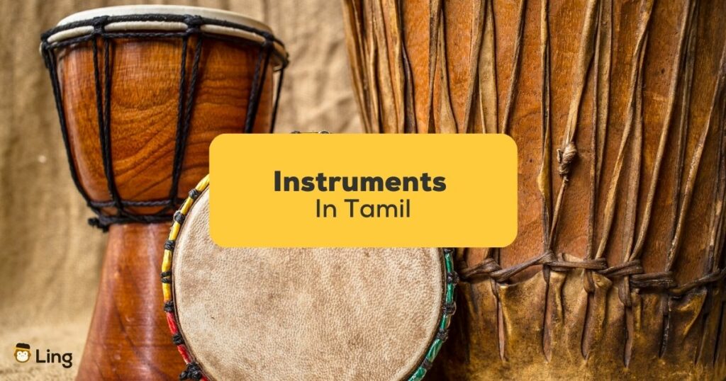 instruments in Tamil