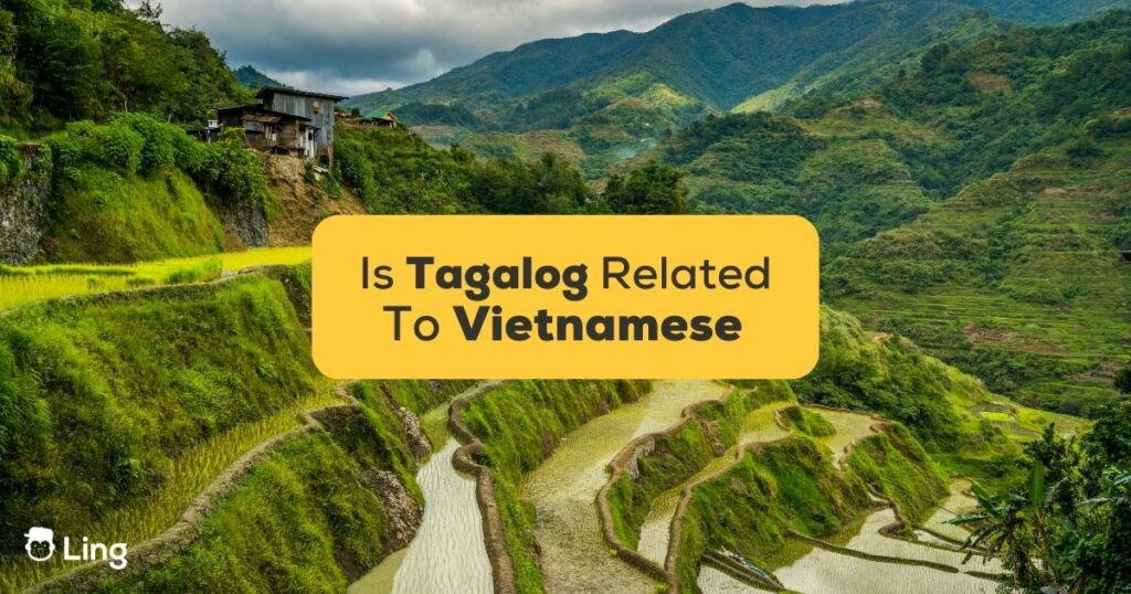 is tagalog related to vietnamese