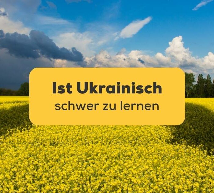 Ukrainische Landschaft mit gelben Blumen und blauem Himmel