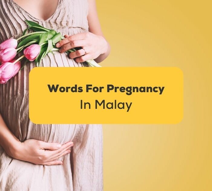 Malay words for pregnancy