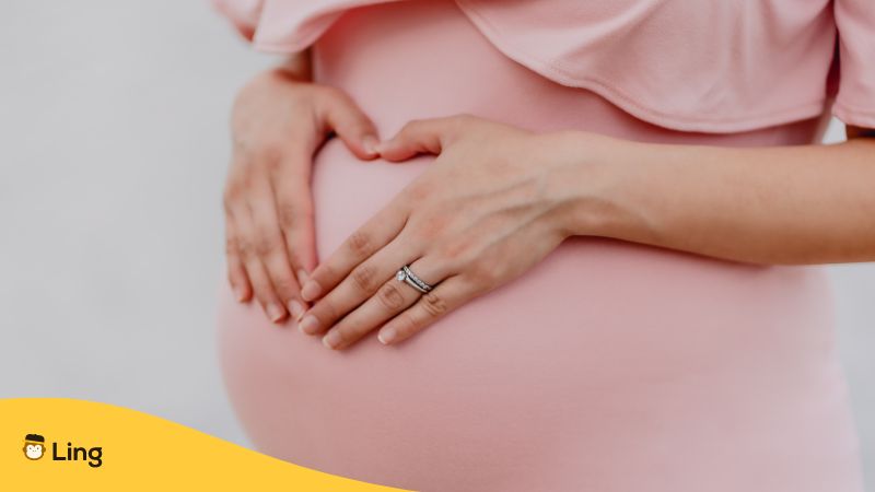 Malay words for pregnancy