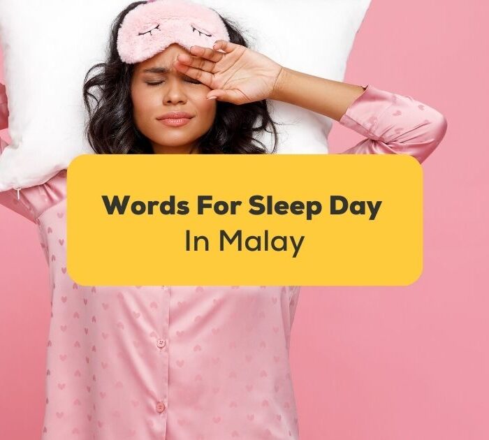 malay-words-for-world-sleep-day