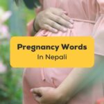 nepli words for pregnancy - phrases and words about pregnancy in nepali
