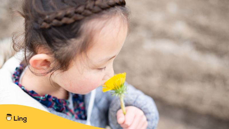 child smelling a yellow flower