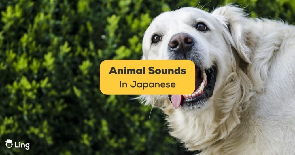 Japanese Animal Sounds - Ling