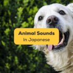 Japanese Animal Sounds - Ling