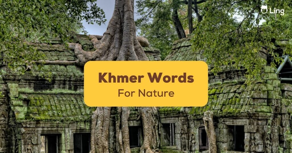 Khmer Words For Nature Ling App