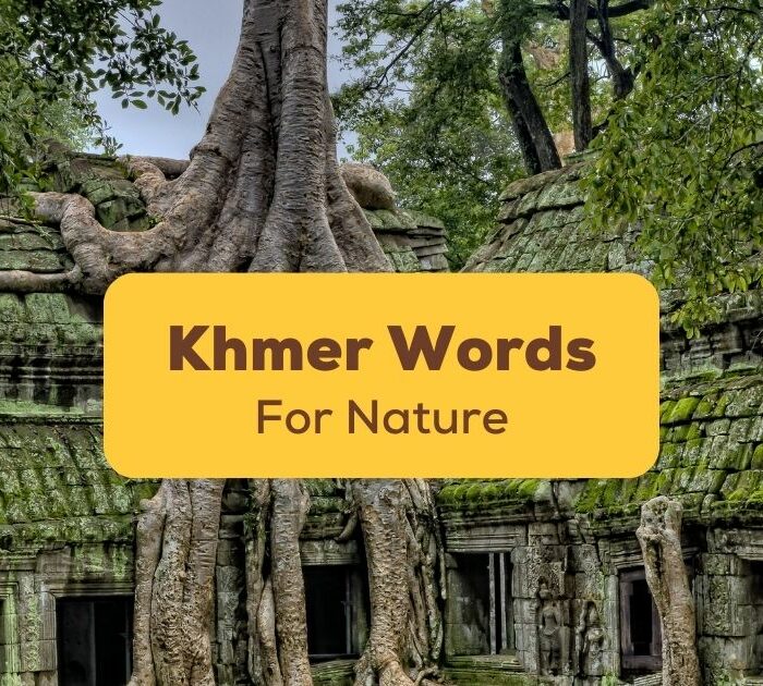 Khmer Words For Nature Ling App