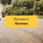 Korean Excuses For Beginners