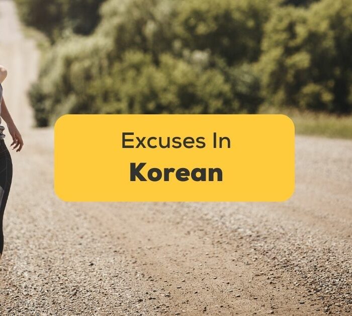 Korean Excuses For Beginners