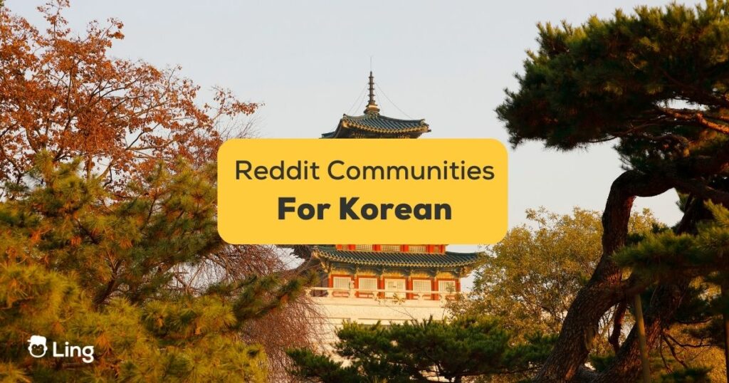 Korean Reddit Communities For Learning