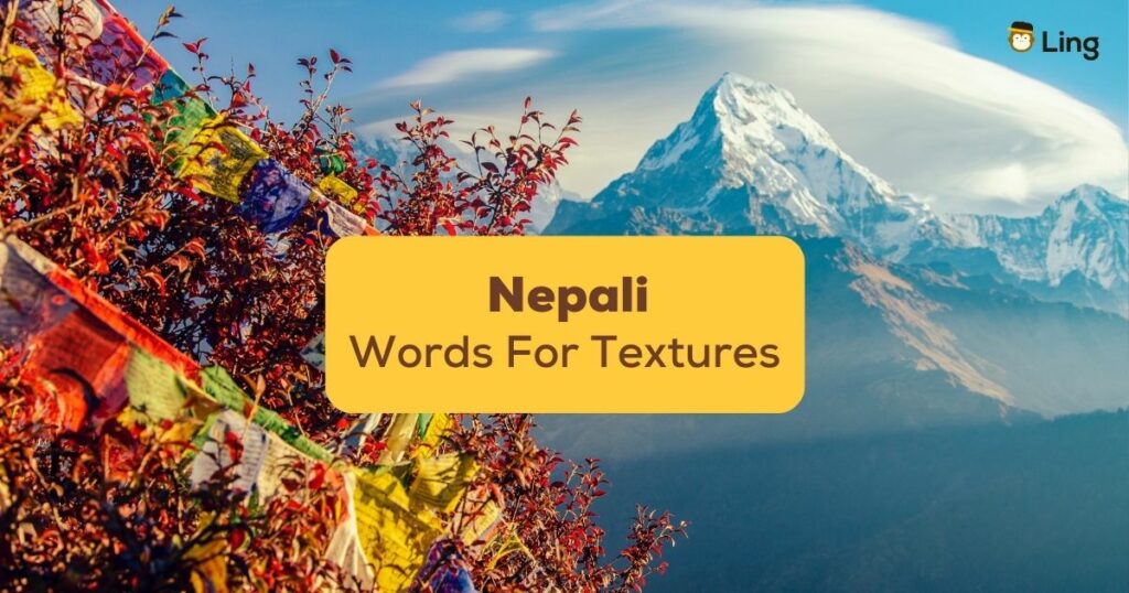 Nepali-Words-For-Textures-Ling-App