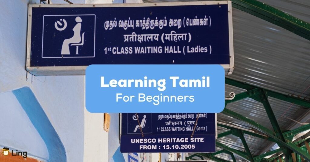 Tamil Learning For Beginners Ling App