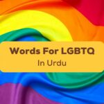 Urdu Words For LGBTQ Ling App