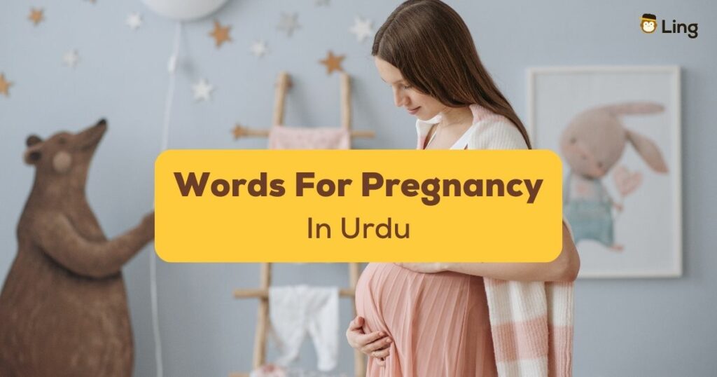 Urdu Words For Pregnancy Ling App