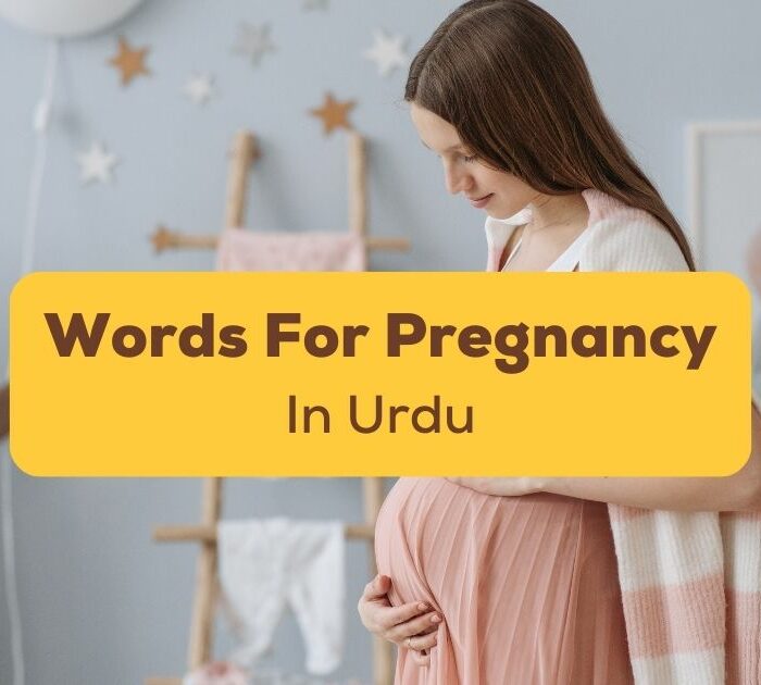 Urdu Words For Pregnancy Ling App