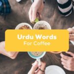 Urdu Words for Coffee- Featured Ling App