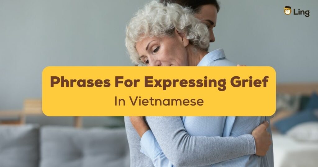 Vietnamese Phrases For Expressing Grief Ling App