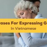 Vietnamese Phrases For Expressing Grief Ling App