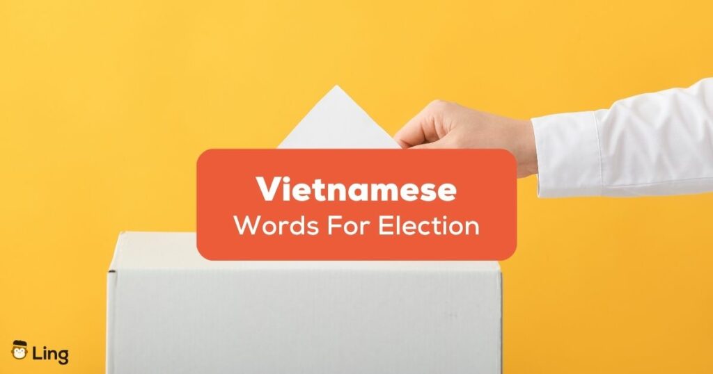Vietnamese words for election Ling App