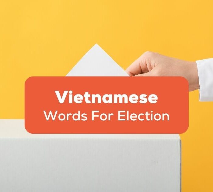 Vietnamese words for election Ling App