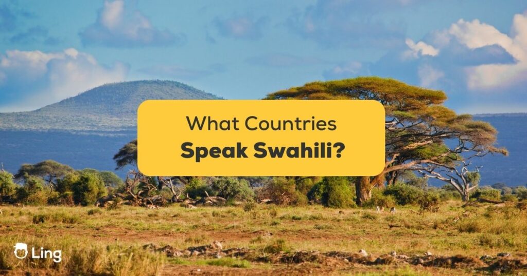 What Countries Speak Swahili