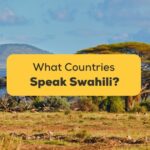 What Countries Speak Swahili