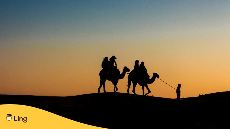 food culture of Swahili people - A silhouette photo of people riding a camel