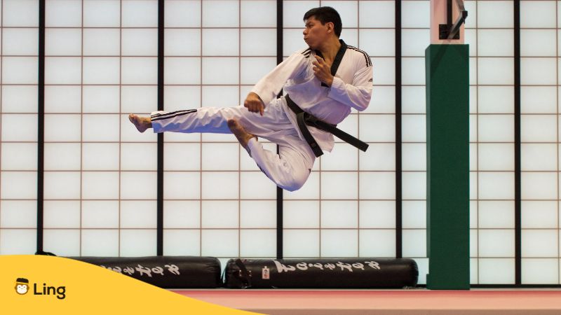 Korean top 5 contributions to the world - A photo of a Taekwondo man kicking