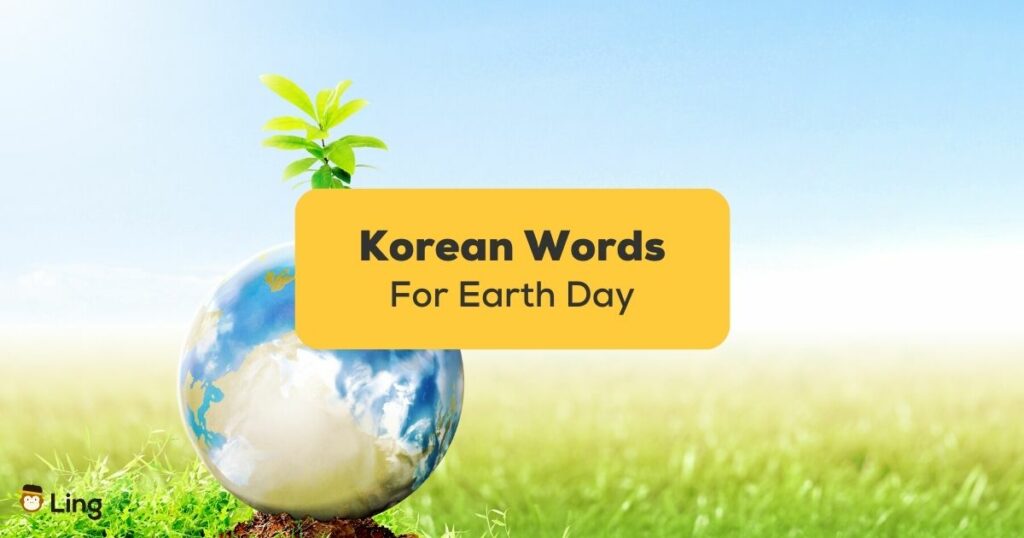 Korean words for Earth Day - A photo of a miniature Earth on a grassy field
