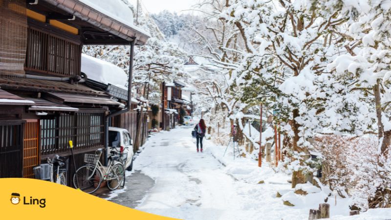 Winter Takayama Matsuri Festival