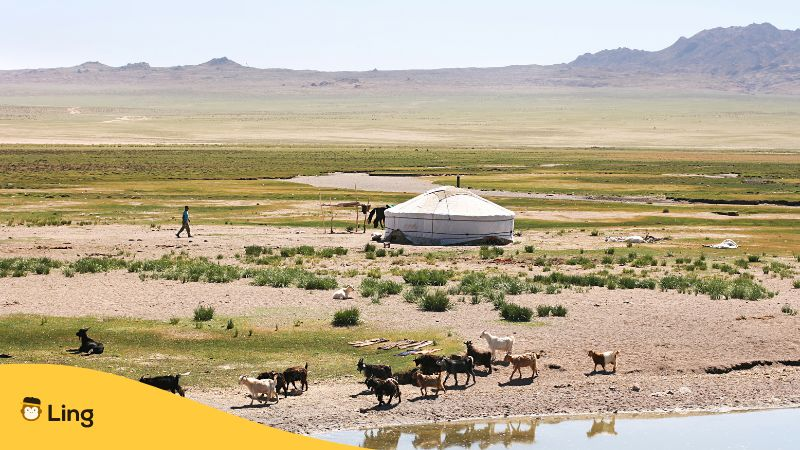 몽골 문화 01 유르트 게르
Mongolian Culture 01 Yurt Ger