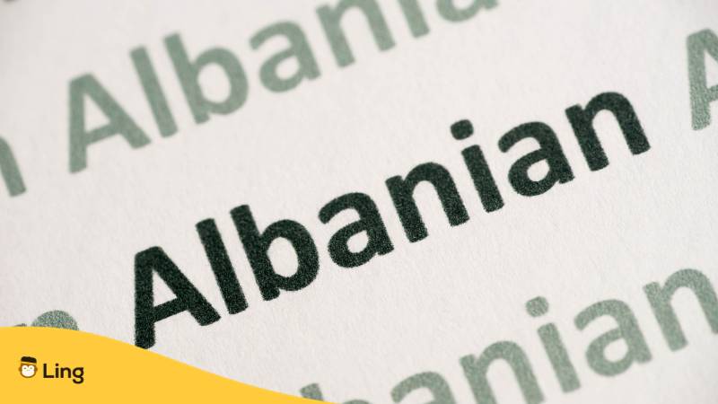 Albanian schräg in Fett, grau und schwarz gedruckt. Erfahre mehr über das albanische Vokabular mit der Ling-App