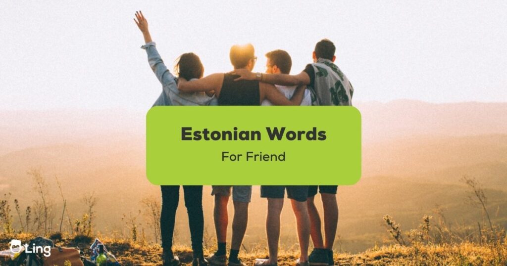 Estonian Words For Friend - A photo of a friends and sunrise