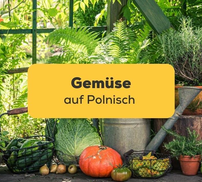 Verschiedene Gemüsesorten, die auf Gartenboden und vor Gießkanne liegen. Erfahre mit der Ling-App, was Gemüse auf Polnisch bedeutet.