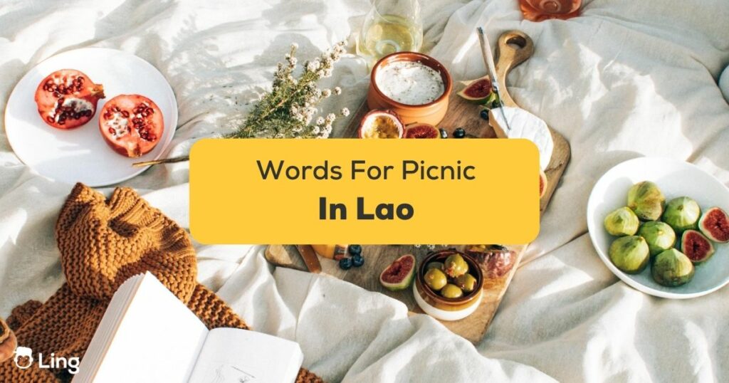 Lao Words For Picnic
