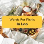 Lao Words For Picnic