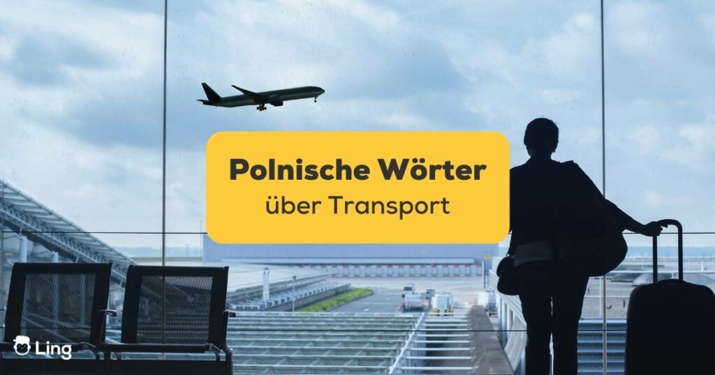 Dunkle Umrisse eines Reisenden, welcher aus dem Fenster am Flughafen auf ein abfliegendes Flugzeug schaut. Lerne alles zum Thema Transport auf Polnisch mit der Ling-App.