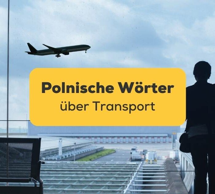 Dunkle Umrisse eines Reisenden, welcher aus dem Fenster am Flughafen auf ein abfliegendes Flugzeug schaut. Lerne alles zum Thema Transport auf Polnisch mit der Ling-App.