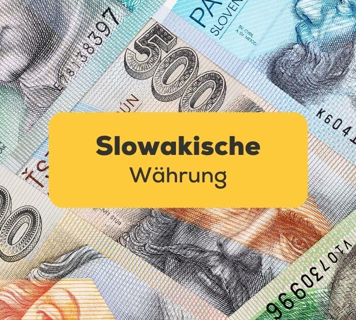 Verschiedene slowakische Banknoten. Entdecke die slowakische Währung mit der Ling-App.