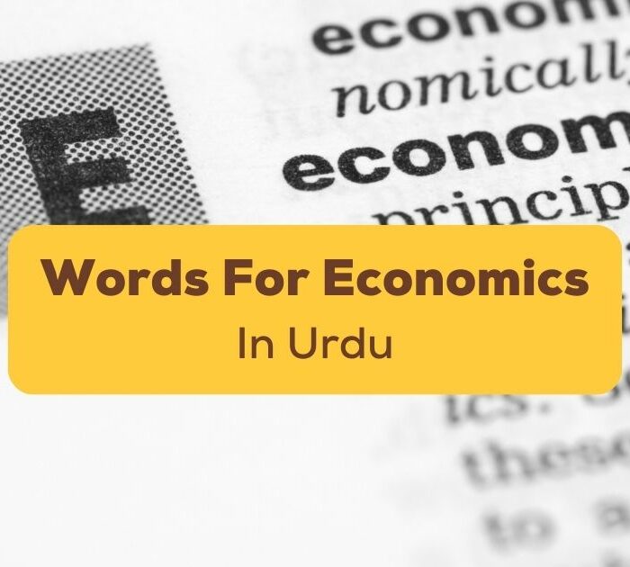 Urdu Words For Economics Ling App
